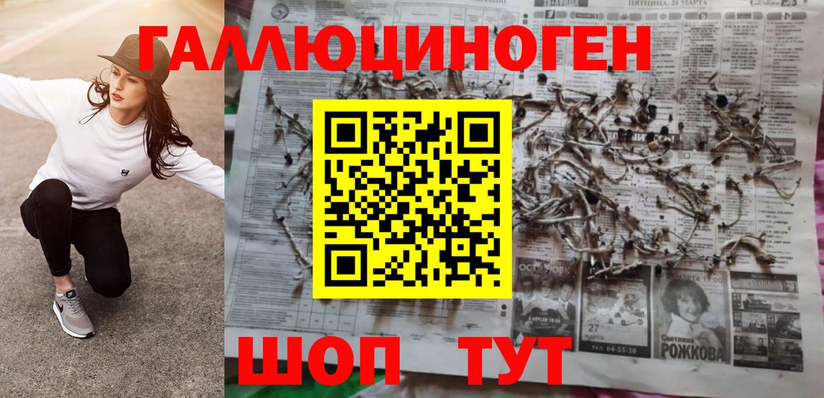 Солнечногорск  Псилоцибиновые грибы мухоморы  Вход с VPN 