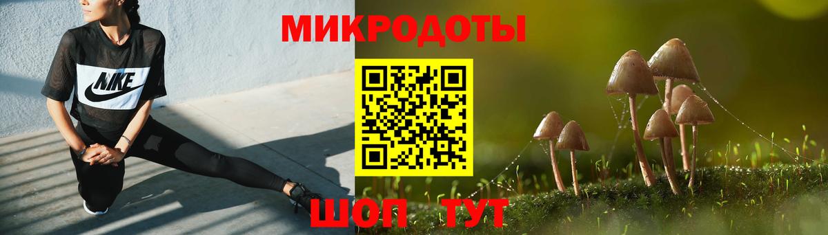 Псилоцибиновые грибы Psilocybine cubensis Солнечногорск